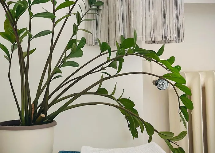 Boho In Old Town ブラチスラヴァ