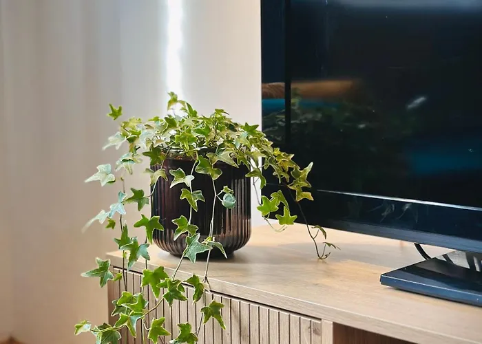 Boho In Old Town Apartament