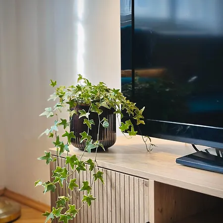 Boho In Old Town Apartment